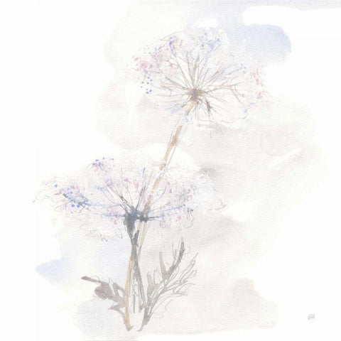 Queen Annes Lace III Black Ornate Wood Framed Art Print with Double Matting by Paschke, Chris