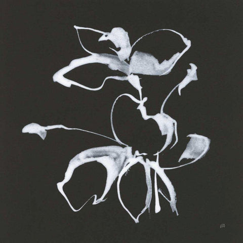 Wildflowers III Black Modern Wood Framed Art Print with Double Matting by Paschke, Chris