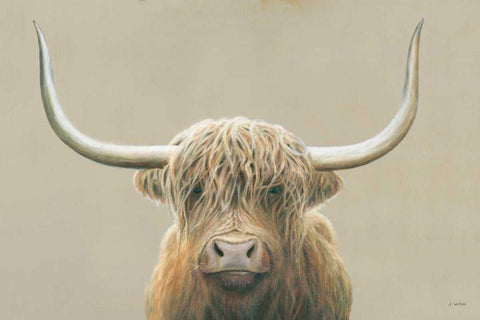 Highland Cow Neutral White Modern Wood Framed Art Print with Double Matting by Wiens, James