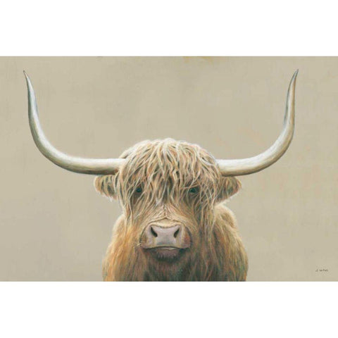 Highland Cow Neutral White Modern Wood Framed Art Print by Wiens, James