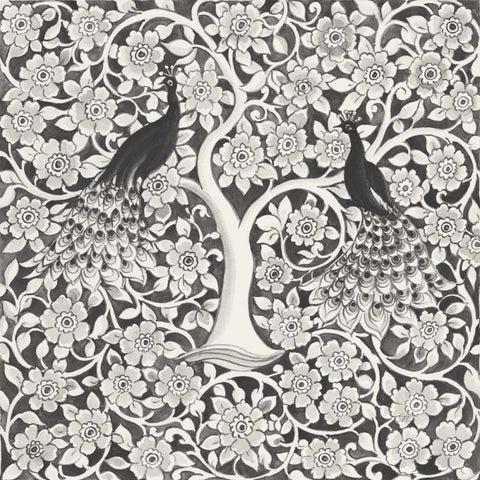 Peacock Garden VII BW White Modern Wood Framed Art Print with Double Matting by Thomas, Miranda
