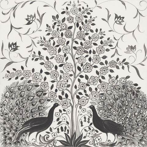 Peacock Garden VIII BW Black Modern Wood Framed Art Print by Thomas, Miranda