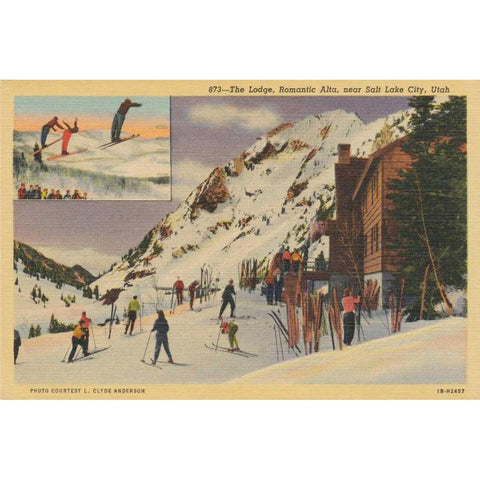 Skiing II White Modern Wood Framed Art Print by Wild Apple Portfolio