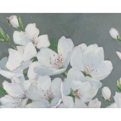 Spring Apple Blossoms White Modern Wood Framed Art Print by Wiens, James