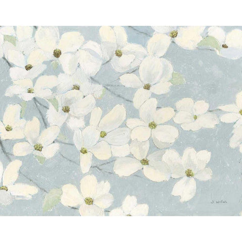 Spring Dogwoods Blue White Modern Wood Framed Art Print by Wiens, James