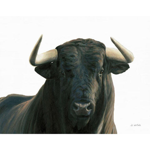 Bullish White Modern Wood Framed Art Print by Wiens, James