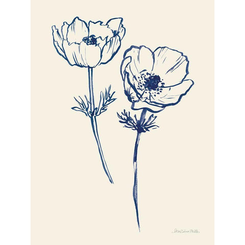 Ink Anemones I Black Modern Wood Framed Art Print with Double Matting by Miller, Sara Zieve