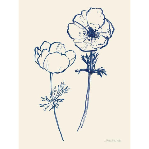 Ink Anemones II Black Modern Wood Framed Art Print with Double Matting by Miller, Sara Zieve