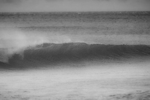 Curling Lip BW Black Ornate Wood Framed Art Print with Double Matting by Larson, Nathan