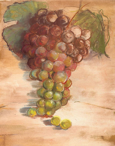 Grape Harvest II No Label White Modern Wood Framed Art Print with Double Matting by Rowan, Carol