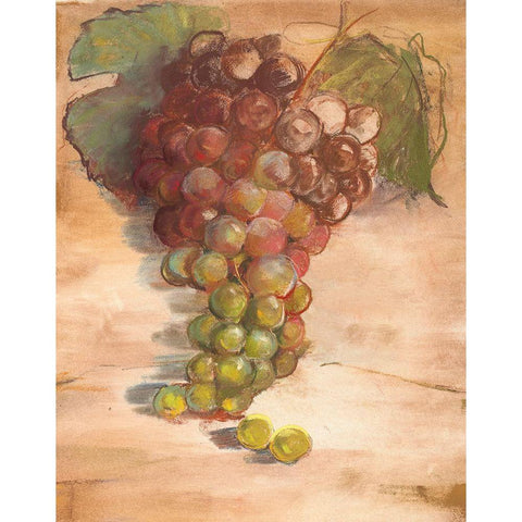 Grape Harvest II No Label Gold Ornate Wood Framed Art Print with Double Matting by Rowan, Carol