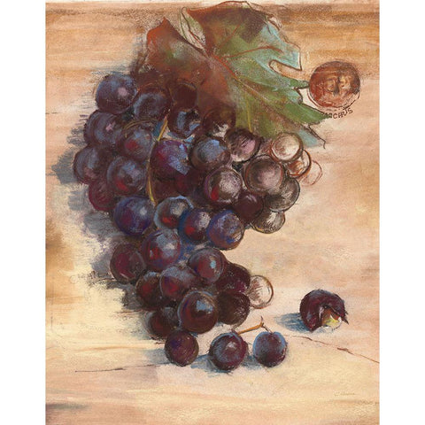 Grape Harvest III No Label Gold Ornate Wood Framed Art Print with Double Matting by Rowan, Carol