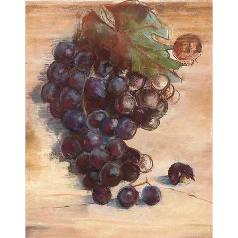 Grape Harvest III No Label Black Modern Wood Framed Art Print with Double Matting by Rowan, Carol