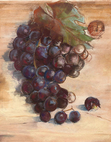 Grape Harvest III No Label Black Ornate Wood Framed Art Print with Double Matting by Rowan, Carol