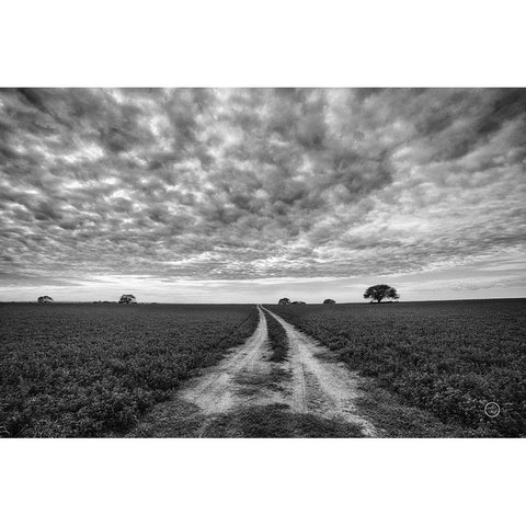 Farm Road Black Modern Wood Framed Art Print with Double Matting by Larson, Nathan