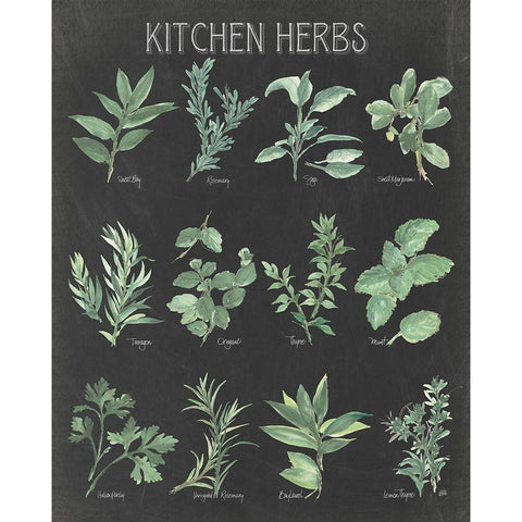 Kitchen Herb Chart on Black I Black Modern Wood Framed Art Print with Double Matting by Paschke, Chris