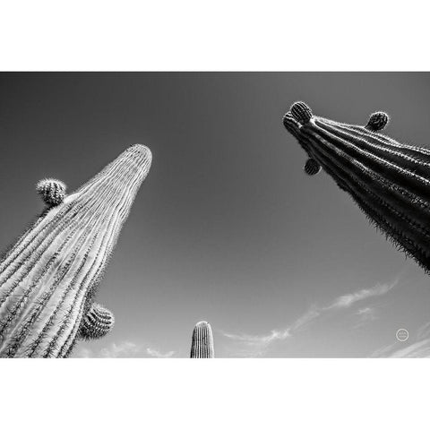 Three Kings Black Modern Wood Framed Art Print with Double Matting by Larson, Nathan
