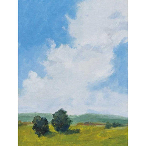 July Clouds Black Modern Wood Framed Art Print with Double Matting by Munger, Pamela