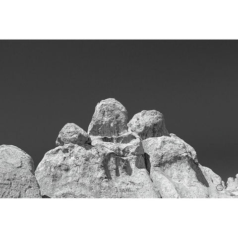 City of Rocks Formation Gold Ornate Wood Framed Art Print with Double Matting by Larson, Nathan
