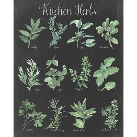 Kitchen Herb Chart on Black II Gold Ornate Wood Framed Art Print with Double Matting by Paschke, Chris