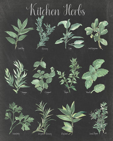 Kitchen Herb Chart on Black II White Modern Wood Framed Art Print with Double Matting by Paschke, Chris