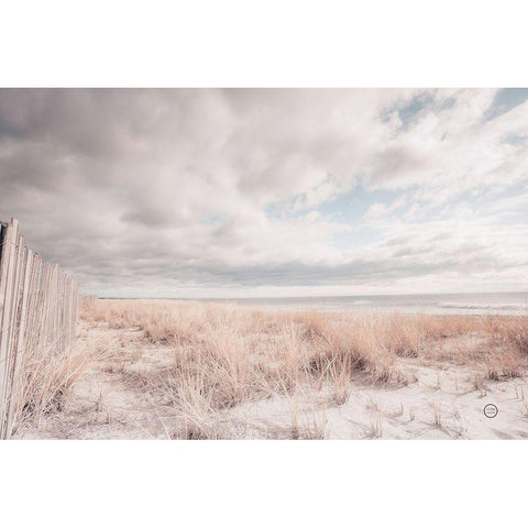 Atlantic Coast Afternoon Soft Black Modern Wood Framed Art Print by Larson, Nathan