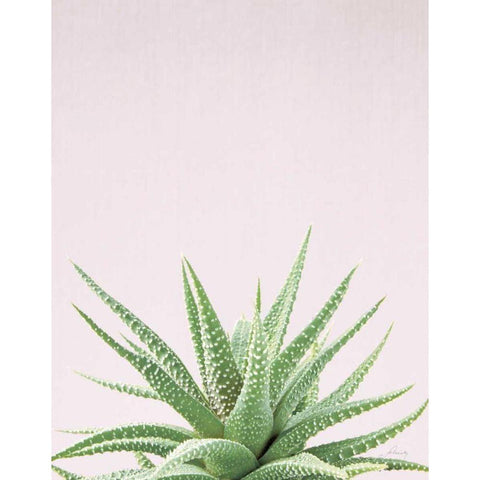Succulent Simplicity Soft I Crop White Modern Wood Framed Art Print by Bradley, Felicity