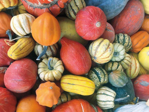 Autumn Bounty White Modern Wood Framed Art Print with Double Matting by Goldstein, Ed