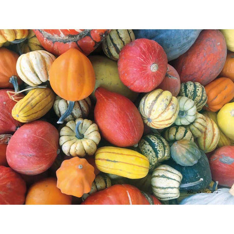 Autumn Bounty White Modern Wood Framed Art Print by Goldstein, Ed