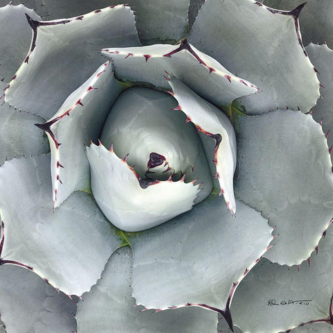 Cactus Verde I White Modern Wood Framed Art Print by Goldstein, Ed