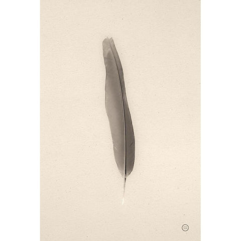 Floating Feathers II Sepia White Modern Wood Framed Art Print by Larson, Nathan