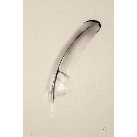 Floating Feathers III Sepia White Modern Wood Framed Art Print by Larson, Nathan