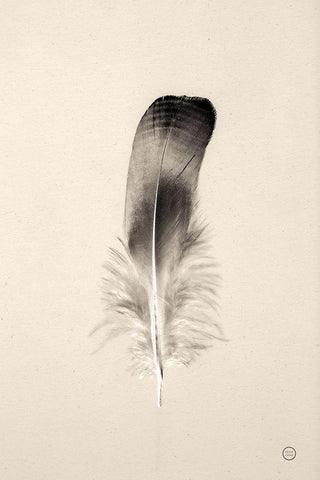 Floating Feathers IV Sepia White Modern Wood Framed Art Print with Double Matting by Larson, Nathan