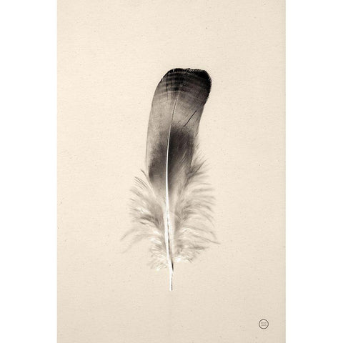 Floating Feathers IV Sepia White Modern Wood Framed Art Print by Larson, Nathan