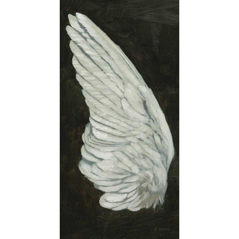 Wings II Black Modern Wood Framed Art Print with Double Matting by Wiens, James