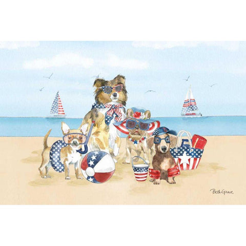 Patriotic Paws I Black Modern Wood Framed Art Print with Double Matting by Grove, Beth