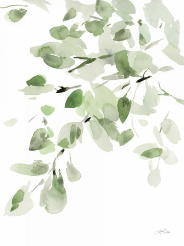 Cascading Branches I White Modern Wood Framed Art Print with Double Matting by Pete, Katrina