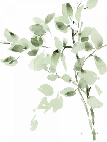 Cascading Branches II White Modern Wood Framed Art Print with Double Matting by Pete, Katrina