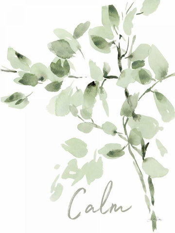 Cascading Branches II Calm Black Ornate Wood Framed Art Print with Double Matting by Pete, Katrina