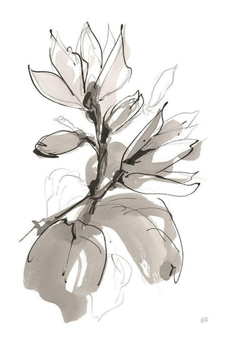 Magnolia I Black Ornate Wood Framed Art Print with Double Matting by Paschke, Chris