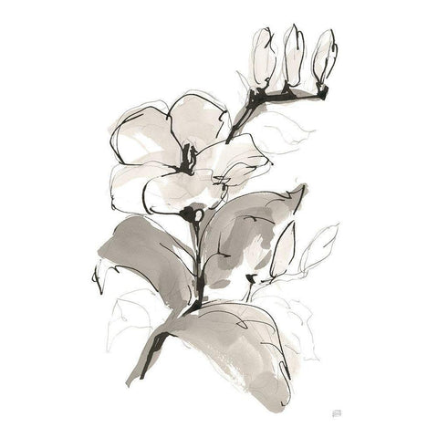 Magnolia II Black Modern Wood Framed Art Print by Paschke, Chris