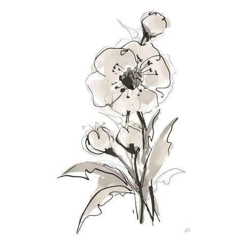 Poppy II White Modern Wood Framed Art Print by Paschke, Chris