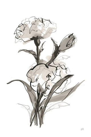 Carnation II Black Ornate Wood Framed Art Print with Double Matting by Paschke, Chris