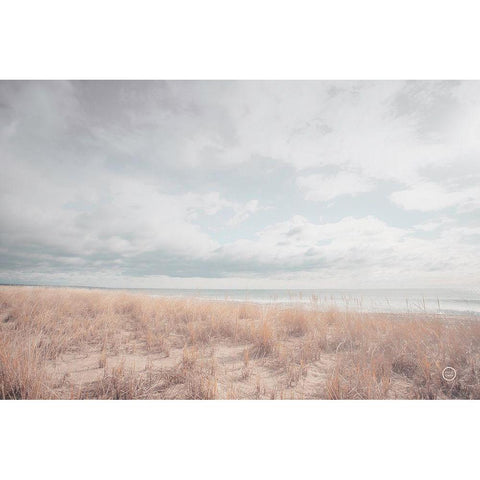 Deserted Sands Black Modern Wood Framed Art Print by Larson, Nathan