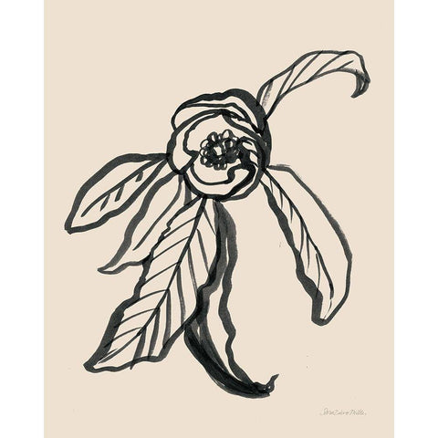 Ink Sketch Flower White Modern Wood Framed Art Print by Miller, Sara Zieve