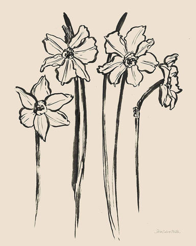 Ink Sketch Daffodils Black Ornate Wood Framed Art Print with Double Matting by Miller, Sara Zieve