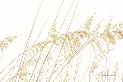 Blowing in the Wind I White Modern Wood Framed Art Print with Double Matting by Urquhart, Elizabeth