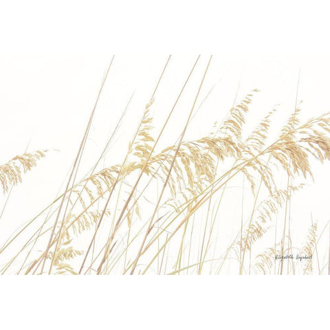 Blowing in the Wind I Black Modern Wood Framed Art Print by Urquhart, Elizabeth