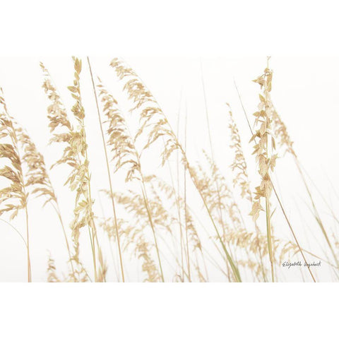 Blowing in the Wind II White Modern Wood Framed Art Print by Urquhart, Elizabeth