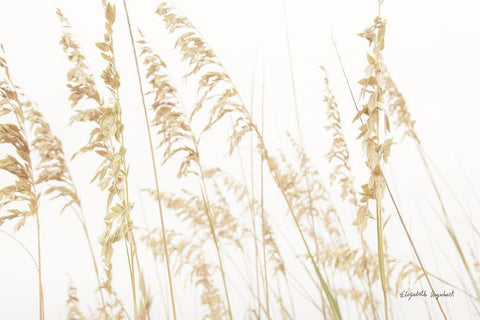 Blowing in the Wind II White Modern Wood Framed Art Print with Double Matting by Urquhart, Elizabeth